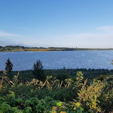 8 Person In Hejls-by Traum *